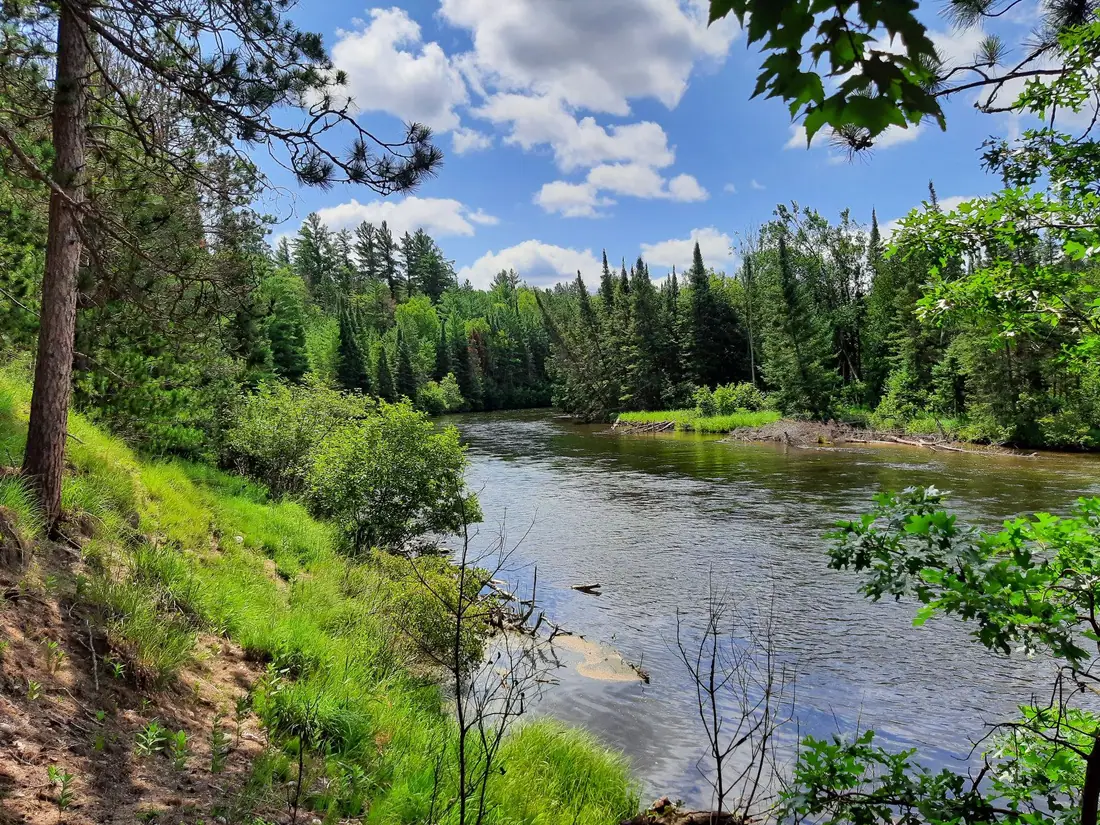 The Au Sable River winding through pine forest near Mio